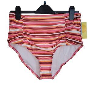 Island Rays Striped Bikini Bottom (Size 1X)